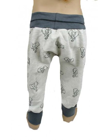 olifanten achterkant